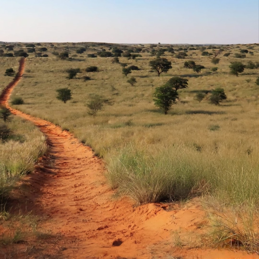 Commercial Property for Sale in Van Zylsrus Northern Cape